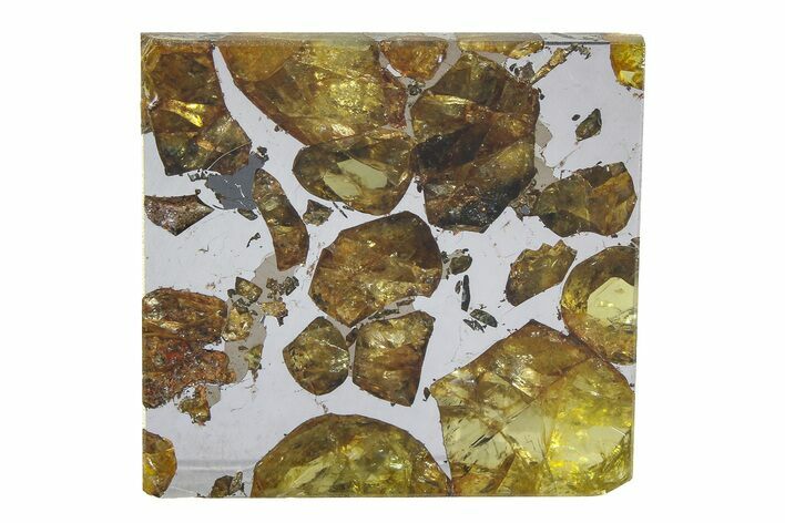 Brahin Pallasite Meteorite ( g) Slice - Belarus #351943